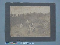 藏品(原住民山坡地開墾情形)的圖片